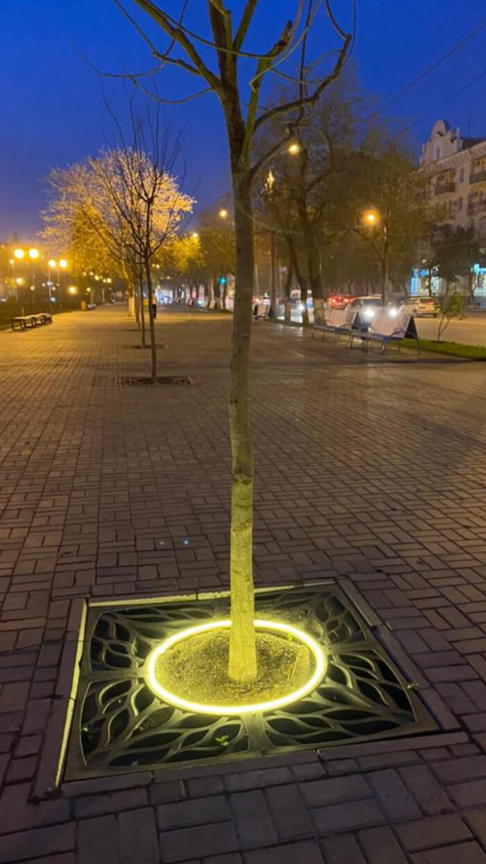 Приствольная решетка для дерева ZKING CRUST 1.2х1.2м Черная в Ижевске фото